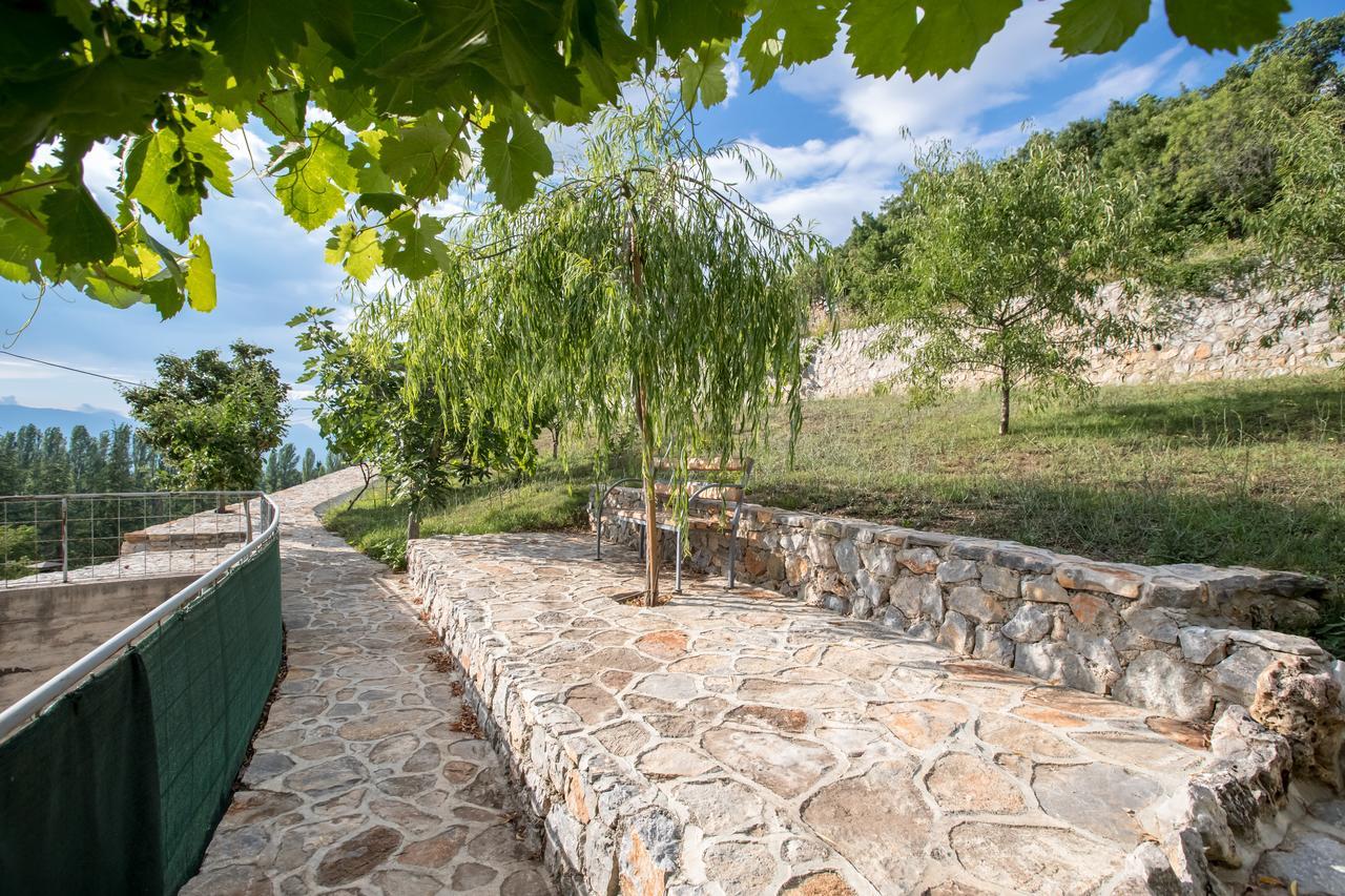 Daire View Topia Ohri