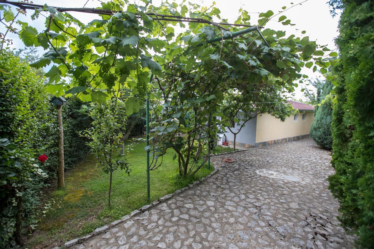Daire View Topia Ohri